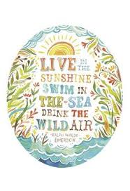 illustrated quotes on Pinterest | Einstein, Favorite Quotes and ... via Relatably.com