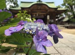 7 dialek yang utama di jepun adalah hakata ben, osaka ben. 10 Tempat Menarik Patut Singgah Di Osaka Jepun Jom Cuti