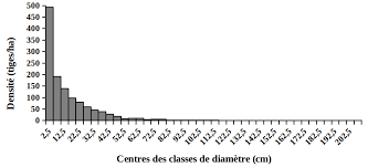 Image result for Sericostachys