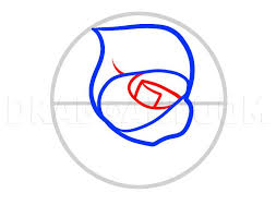 How To Draw A Heart Rose Rose Heart Step By Step Drawing Guide By Dawn Dragoart Com Guided Drawing Drawings Sketch Painting Browse the user profile and get inspired. pinterest