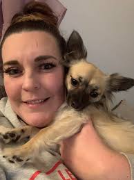 Shichon puppy's first birthday celebration