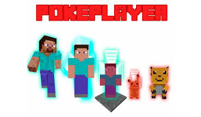 Pixelmon adds many aspects of the pokémon into minecraft, including the pokémon themselves, battling, trading, and breeding. Pokeplayer Mod Para Minecraft 1 12 1 12 1 Y 1 12 2 Minecrafteo