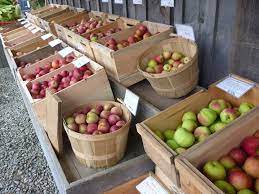 Check spelling or type a new query. Fall Harvest How To Pick And Store Apples For The Winter Epic Gardening