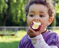 Hunger Solution Center