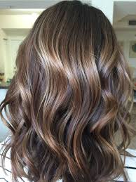 Hairstyles 002 Elegant Hair Colour Shades Photo Color