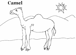 Check spelling or type a new query. Camel Coloring Printable Page For Kids