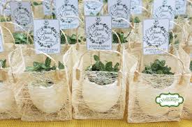 John And Mhai Fittonia Wedding Favors In 2020 Wedding Favors Plant Wedding Favors Wedding