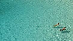 The rgb values and percentages for cyan each system has a different value, or percentage of colors, that make up every color in the graphic design spectrum, and the same can be said for cyan blue. Cyan Wikipedia