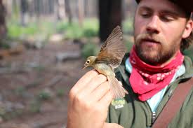 Research & Wildlife Management — Yosemite Conservancy
