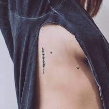 Small Tattoos For The Ribs Like The Little Bird On The Chest Too Homemade Tattoos Tattoos Minimalist Tattoo