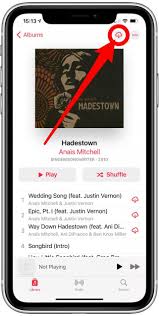 Currently, other streaming websites don't cater to. How To Download All Your Songs In Apple Music To Your Iphone Ios 15