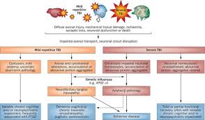 Dementia pugilistica is a frightening condition for both the sufferer and the family as this disease progressively takes over one's mind and body. Acute And Chronic Traumatic Encephalopathies Pathogenesis And Biomarkers Nature Reviews Neurology