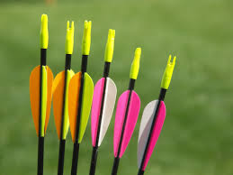 My advice would be not to do any arrowhead maps until you have the shovel, metal detector and the. Best Metal Detector For Archery How To Find Lost Arrows