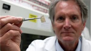 Introducing Microlyte Vet: a new generation of wound technology for optimal  wound healing