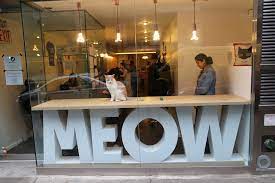 Meow Parlour Restaurants In Lower East Side New York