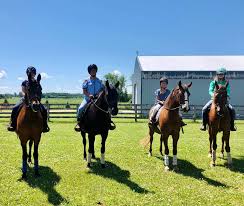 Frost valley ymca is home to four special summer horse camps: Horseback Riding Northeast Wisconsin Go Valley Kids