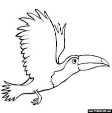 Check spelling or type a new query. Flying Toucan Coloring Page Free Flying Toucan Online Coloring Bird Coloring Pages Coloring Pages Animal Coloring Pages