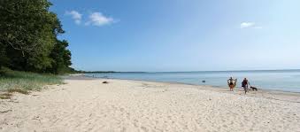 Vi ligger næsten direkte på stranden i et meget smukt og uforstyrret område. Landyachting Ulslev Strandcamping Danemark Landyachting
