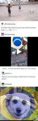 This Is Adorable Brazilian Kids Playing Jump Rope With Homeless Ai Officiallycrying Dog Starwarsisgay Listen Is That The Same Dog From This Meme There S Only One Dog In Brazil But It S