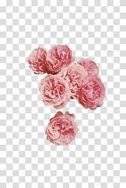 Choose from hundreds of free transparent backgrounds. Aesthetic Grunge Pink Petaled Flowers Transparent Background Png Clipart Flowers Transparent Png Aesthetic Transparent Overlays Transparent