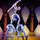 Carden International Circus event image