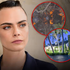 Cara Delevingne Addresses Fire at Home, Clarifies Cats Are Alive