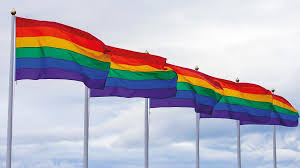 Regenboogvlaggen werden en worden door de eeuwen heen gebruikt door zeer uiteenlopende. Stadsdeel Amsterdam Oost Is Anti Homogeweld Zat En Hijst Regenboogvlag Linda Nl