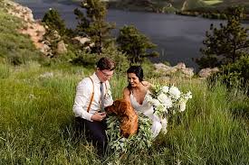 Easy ordering · great service · order online · need help What Your Wedding Florist Wants You To Know Palmer Flowers Loveland Colorado Wedding Florist Taylor Nicole Photography Blog