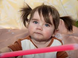 Christmas spirit alive at Toowoomba Triple M Mayoral Carols by Candlelight  in Queens Park