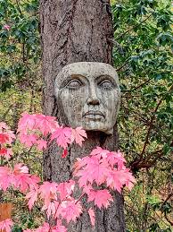 My view this morning. Have a beautiful Fall day! 🍁🌲