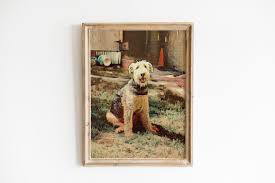 Check out our labradoodle svg selection for the very best in unique or custom, handmade pieces from our digital shops. Animal Illustration Photo Graphic By Picturestock Creative Fabrica