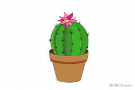 Para escenas desérticas o solo para divertirte, ¡dibujar un cactus es fácil para cualquiera! Como Dibujar Un Cactus Con Flor En Maceta