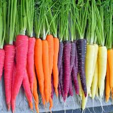 There Is A Huge Market For Heirloom Vegetables With Advanced Research Involved In Preserving The Genetic Diversity Rainbow Carrots Heirloom Vegetables Carrots