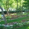 A border of evergreen dee runk boxwood (buxus sempervirens), with the contrasting white of smooth hydrangea 'incrediball' (hydrangea arborescens) and the groundcover of pachysandra. 1