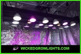 Best Led Grow Light Spectrum