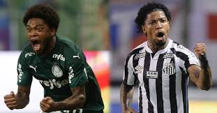 Palmeiras es el primer finalista de la copa libertadores 2020. Conmebol Decide Uniformes De Palmeiras E Santos Para Final Da Libertadores 2020 Mantos Do Futebol