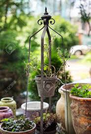 Nutzen sie es und machen sie einen wir zeigen ihnen wie! Trockene Blume Im Tontopf Auf Metallstander Und Andere Pflanzen Im Garten Lizenzfreie Fotos Bilder Und Stock Fotografie Image 44221413