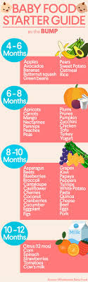 Introduce Baby Food Chart Baby Food Log