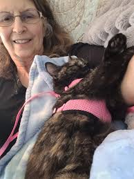 Classic Norfolk. Lucky aren't we! ☀️😁