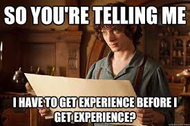 So You Re Telling Me I Have To Get Experience Before I Get Experience Annoyed Frodo Quickmeme