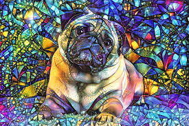 Jun 14, 2021 · pug pic 10 80 px 10 80 px : Psychedelic Pug Dog Art Fleece Blanket For Sale By Peggy Collins