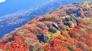 「久住山」の画像検索結果