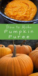 How To Make Pumpkin Puree Recipe Homemade Pumpkin Puree Pumpkin Puree Recipes Pumpkin