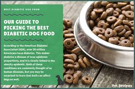 Most dogs do fine with food you can buy at the store. 10 Best Diabetic Dog Food Brands Non Prescription In 2019 Diabetic Dog Food Dog Food Recipes Best Dry Dog Food