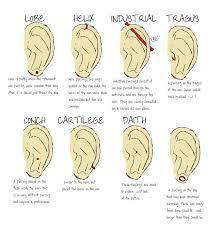 Ear Piercings Daith Piercing Piercing Oreilles Piercing Homme