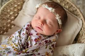 Shelby Book Photography added a...