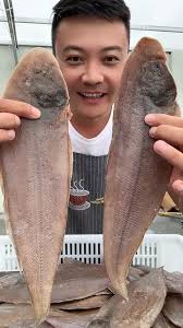 有一种鱼像鞋底叫什么鱼- 抖音