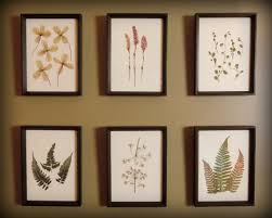 This Is A Set Of 6 Beautiful Real Pressed Botanicals Framed In Either Handmade Solid Walnut Frames Or Antiqued Black Poplar Pressed Botanicals Frame Botanical