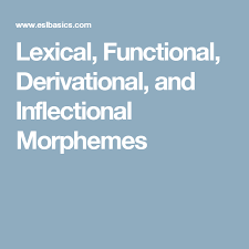 Lexical Functional Derivational And Inflectional Morphemes Function Student Speech
