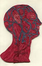 This wonderful quilled paper art was created by american artist lisa nilsson for her tissue series. Juxtapoz Magazine Update Quilled Paper Sculptures By Lisa Nilsson Paper Sculpture Quilling Art Anatomy Art